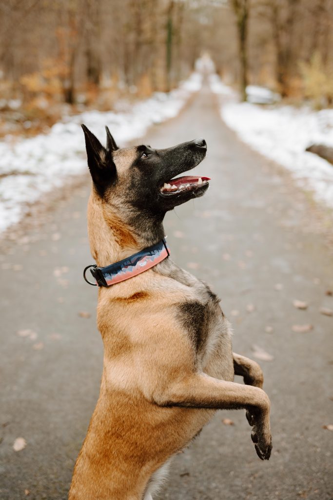 Lisa, Cyril et Saika