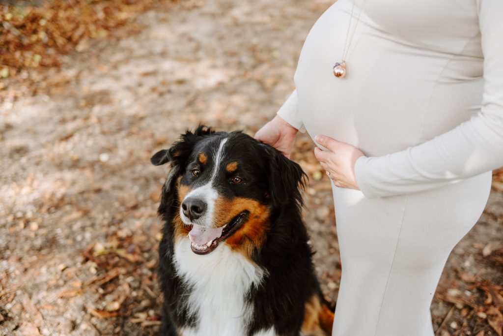 Maëlle, Vincent et Sherlock